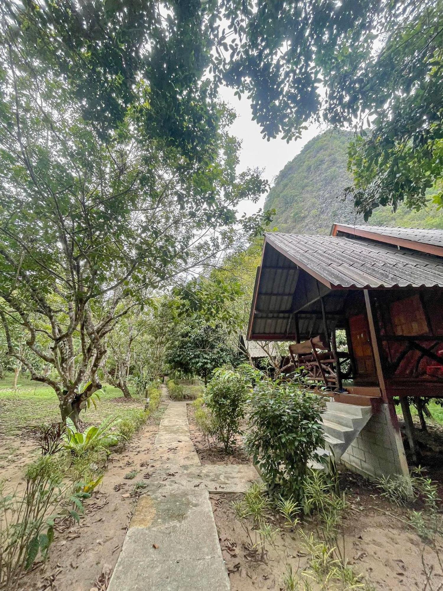 Khao Sok Green Mountain View Khao Sok National Park Buitenkant foto
