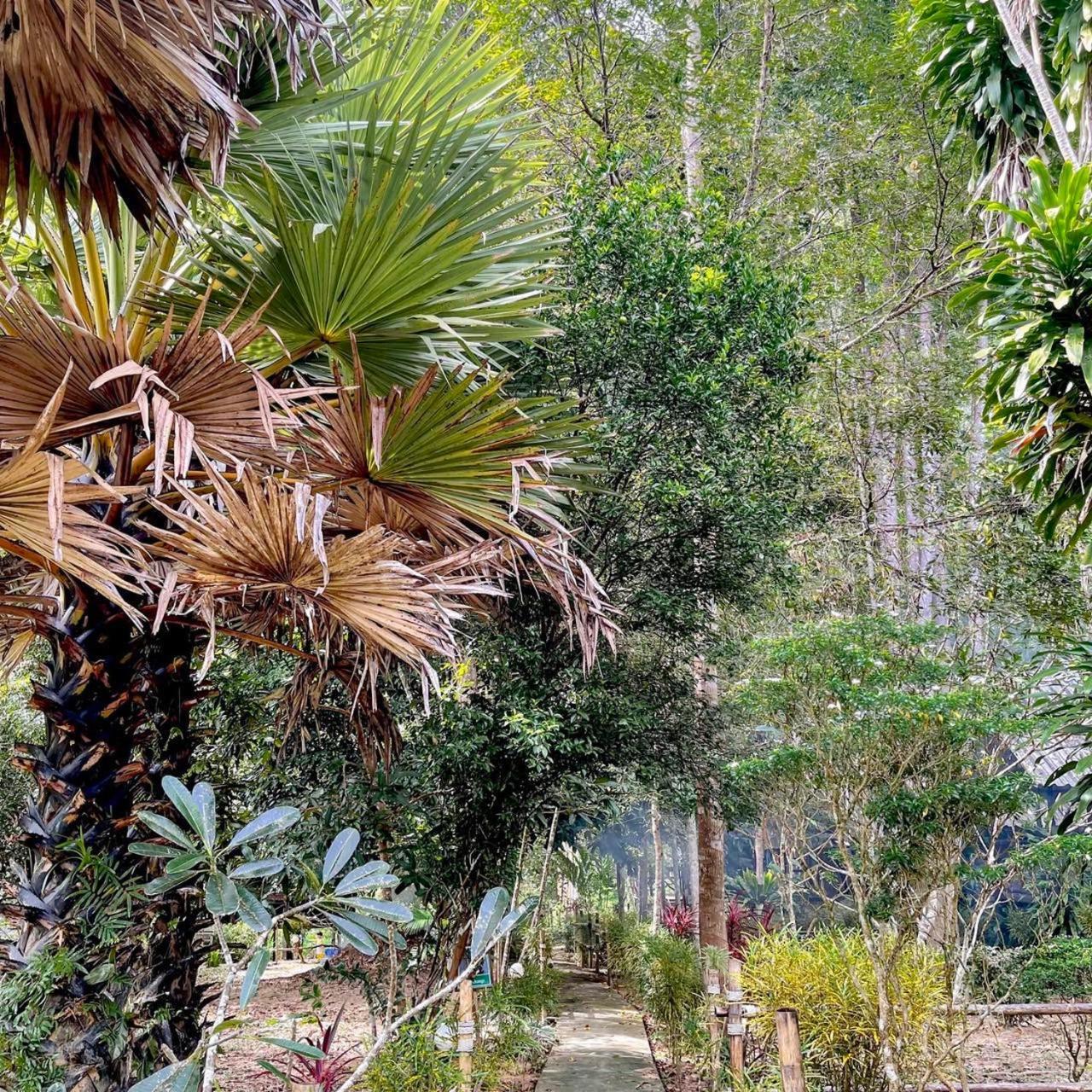 Khao Sok Green Mountain View Khao Sok National Park Buitenkant foto