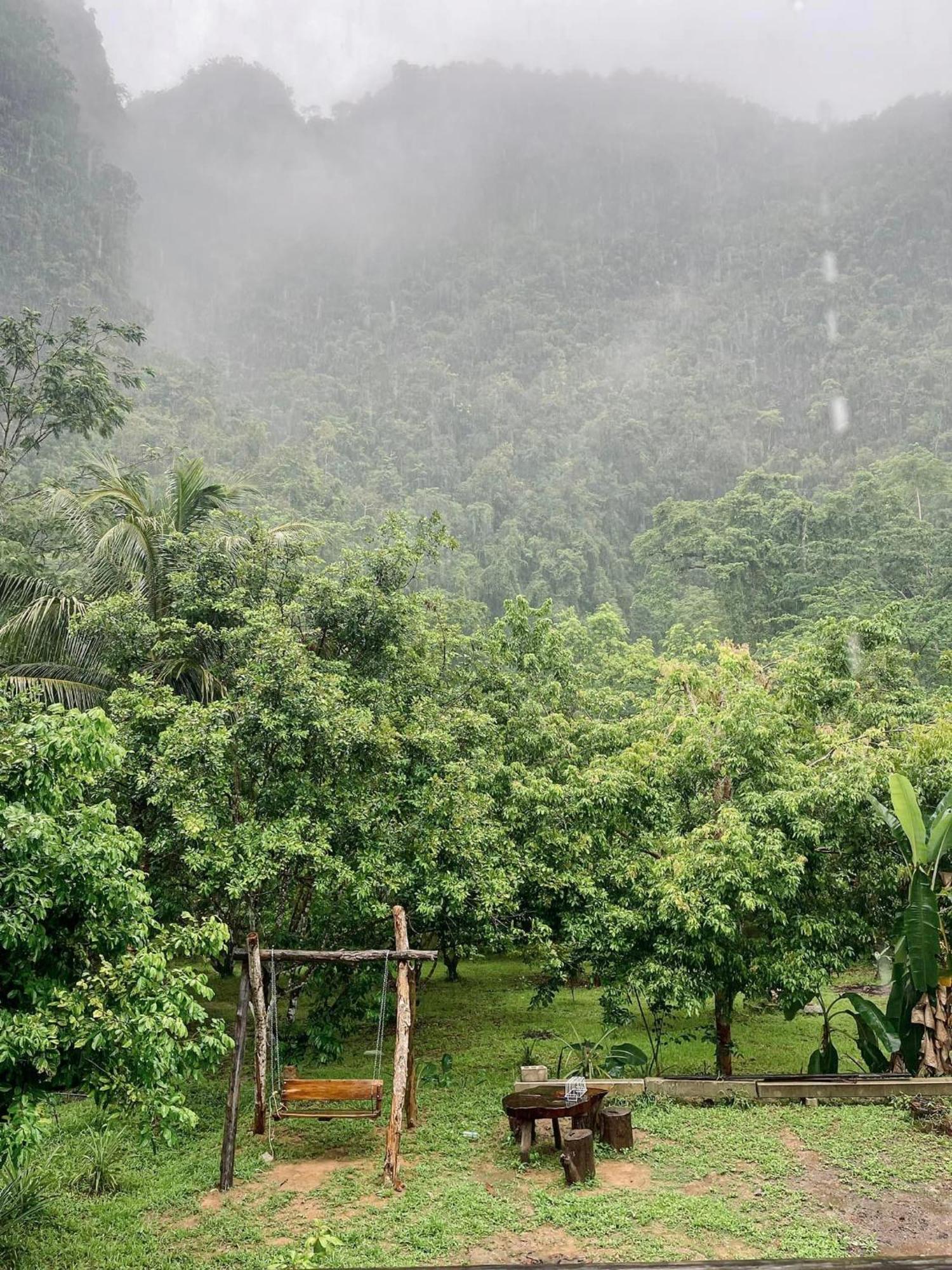 Khao Sok Green Mountain View Khao Sok National Park Buitenkant foto