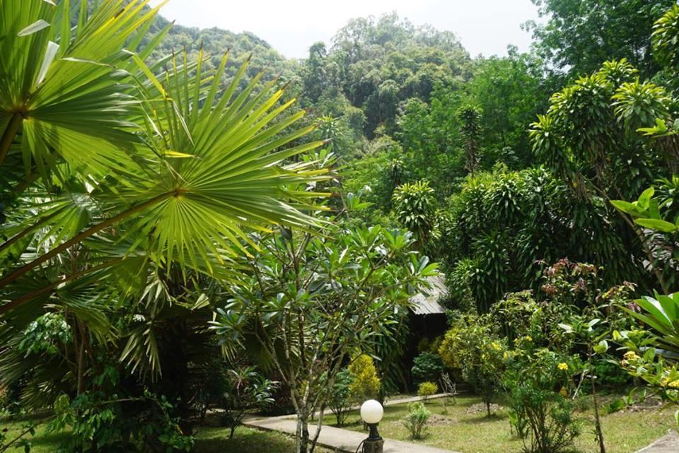 Khao Sok Green Mountain View Khao Sok National Park Buitenkant foto