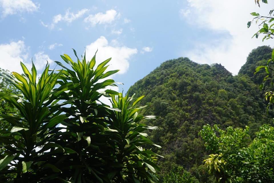 Khao Sok Green Mountain View Khao Sok National Park Buitenkant foto