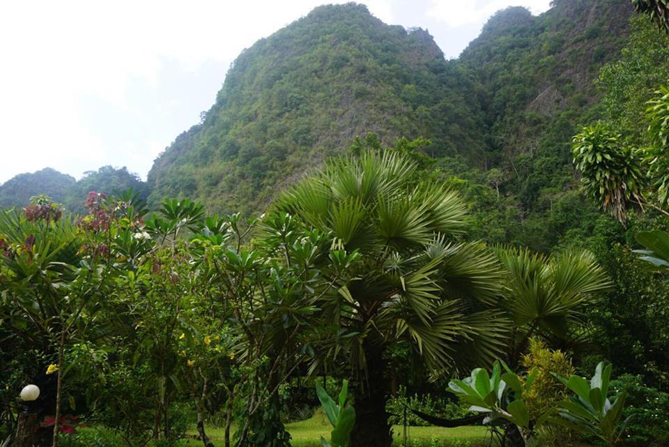 Khao Sok Green Mountain View Khao Sok National Park Buitenkant foto